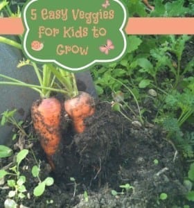 5 Easy Vegetables for kids to grow