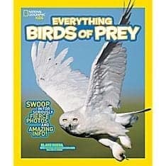 Everything Birds of Prey