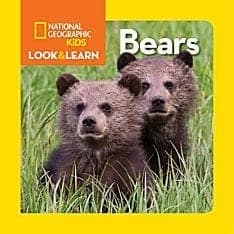 Look & Learn Bears