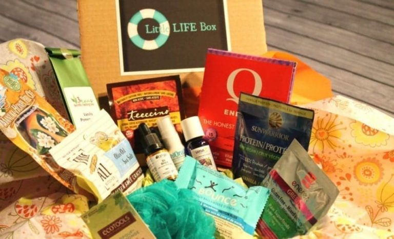 Little Life Box Subscription Review