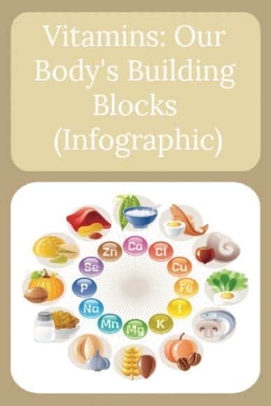 Vitamins: Our Body's Building Blocks Infographic title