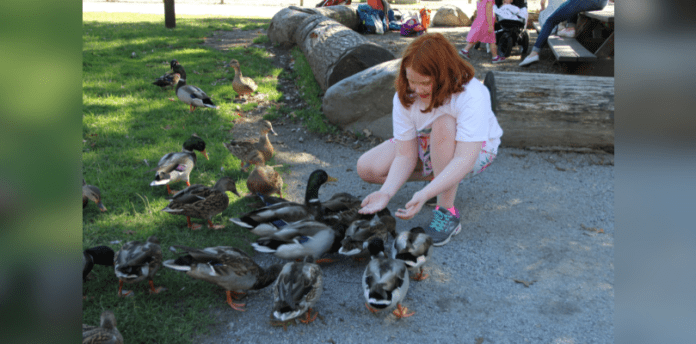 Active homeschoolers cover a Young girl knees down to feed a group of ducks on the grass.