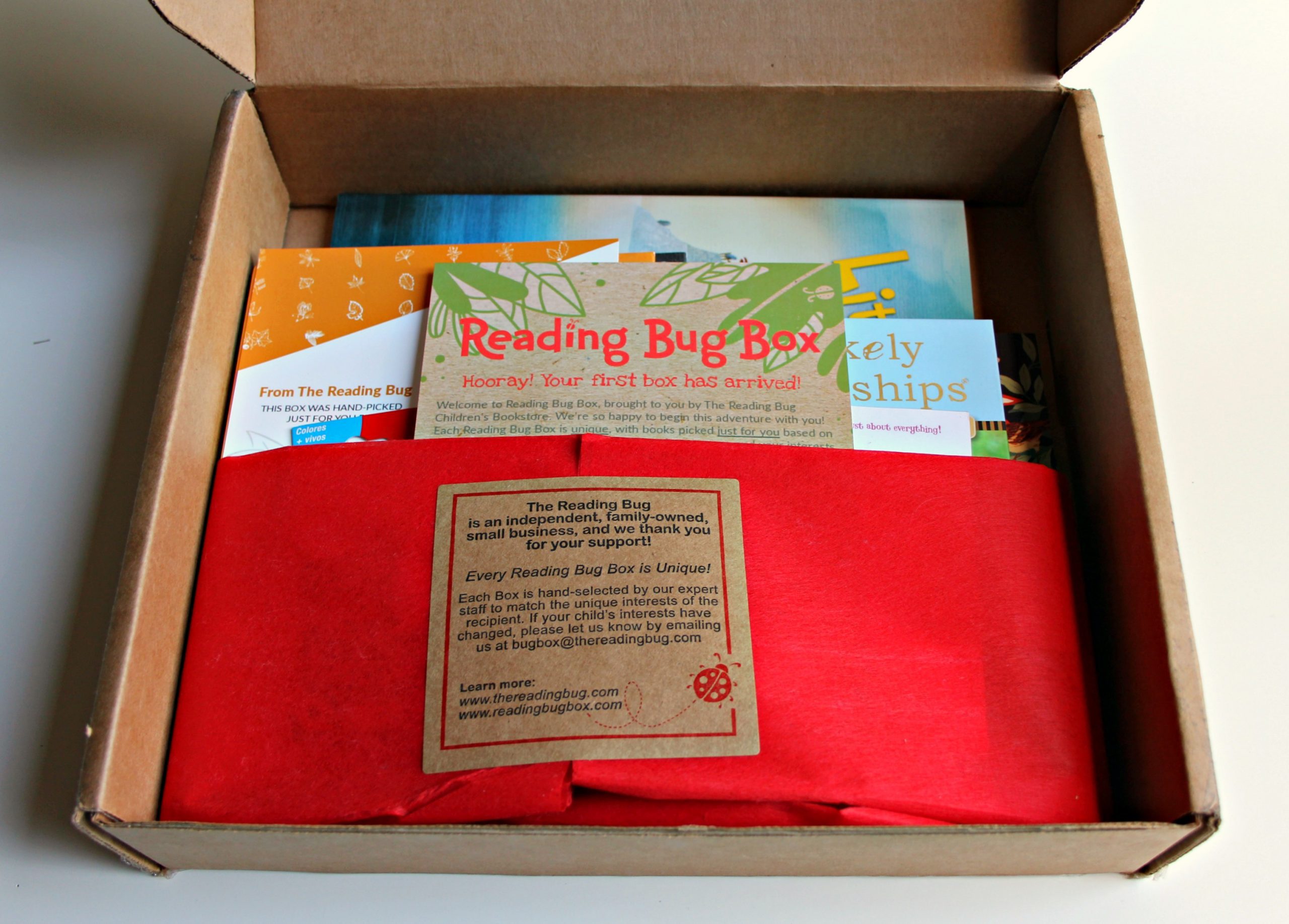 Reading Bug Book Box For 2 Children - Cratejoy