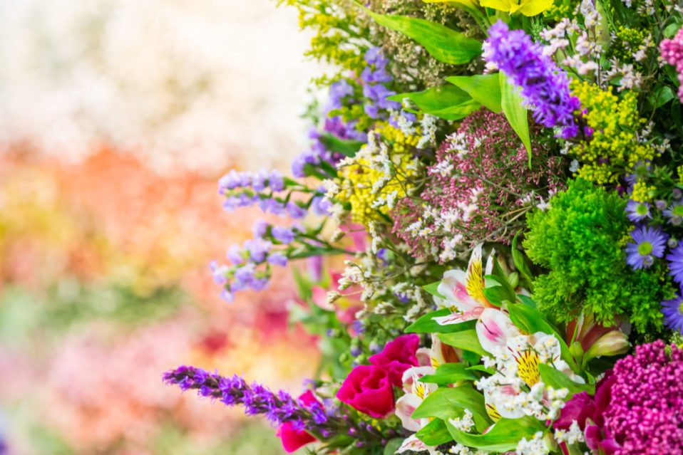 Purple, pink, white, and yellow flowers in a flowerbed.