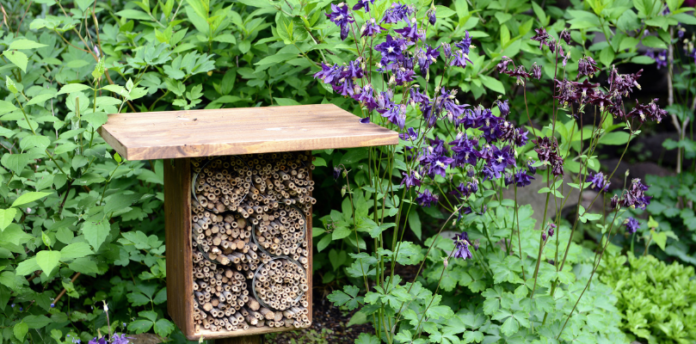 A Rustic Yard with a Bee hotel with a background of foliage A rustic yard with a background of purple wildflowers and assorted foliage with a bee hotel in the foreground.